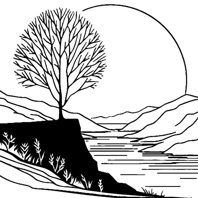 Alder tree overlooking a river